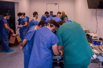 A group of medical students practice medicine